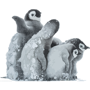 Google Penguin 4.0 – Now a Core Part of the Algorithm