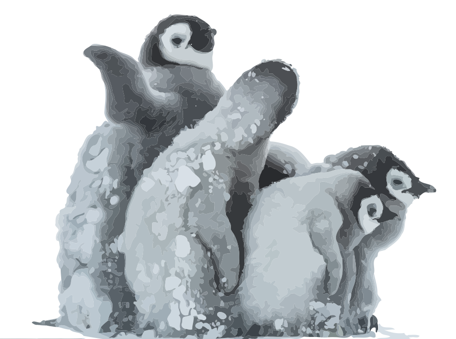 4 penguins