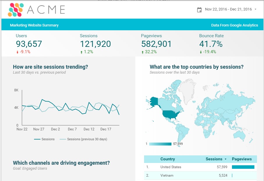 acme marketing summary